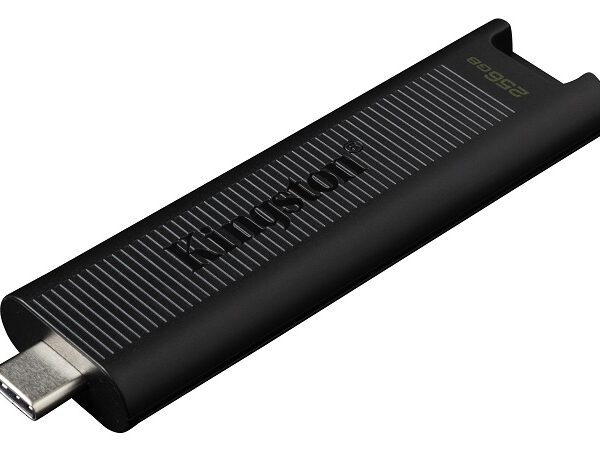 KINGSTON USB Stick DataTraveler Max DTMAX/256GB, USB 3.2 Type-C, Black